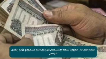 منحة العمالة.. خطوات سهلة للاستعلام عن دعم 2025 عبر موقع وزارة العمل الرسمي